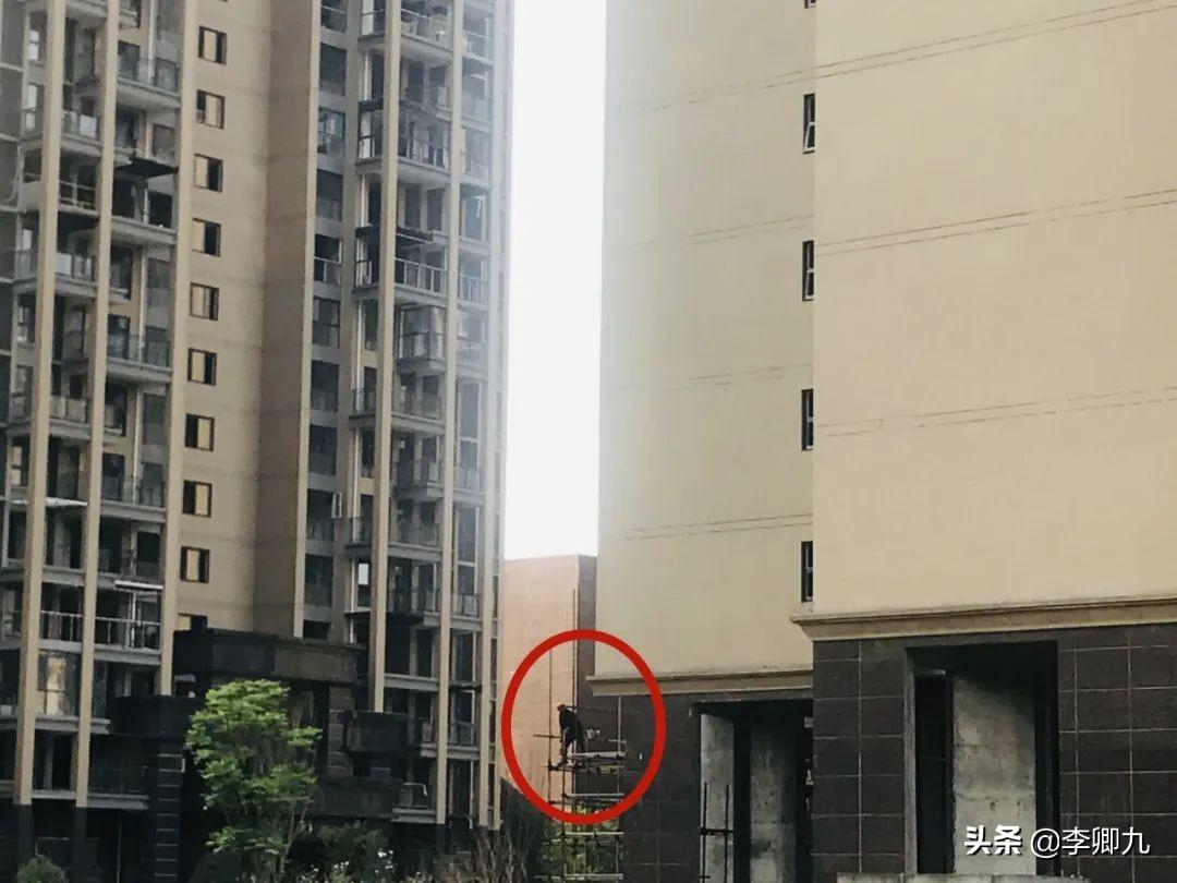 清华大学生医药校友会 第31页